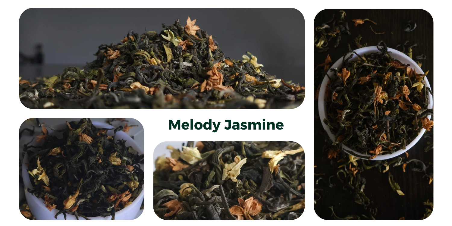 Melody Jasmine