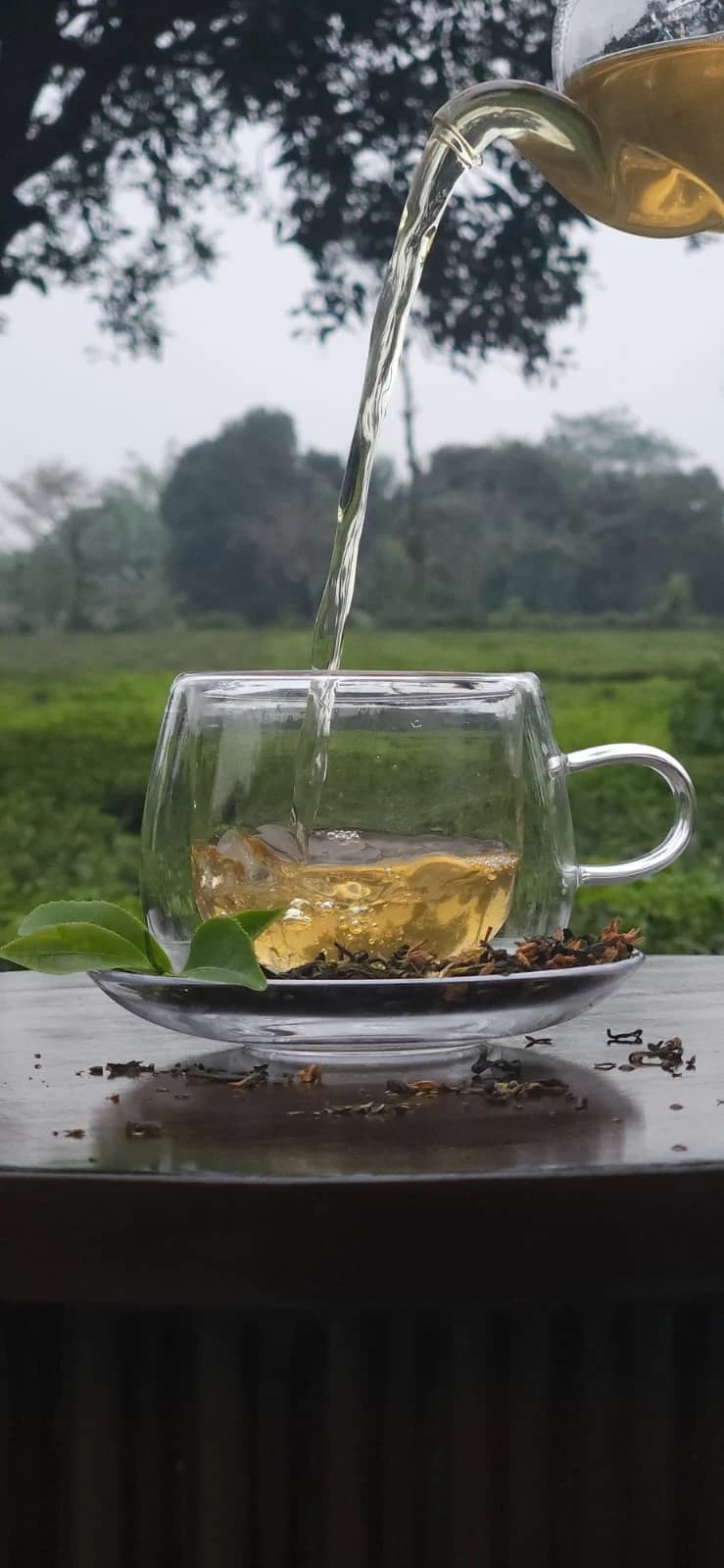 ZenTea green tea being poured into a cup